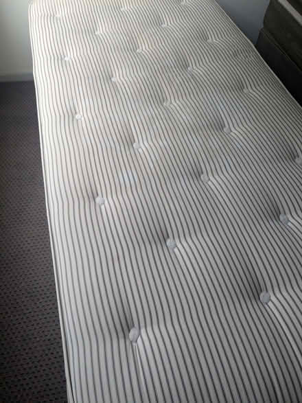 Photo of free single divan bed (Linslade LU7) #1