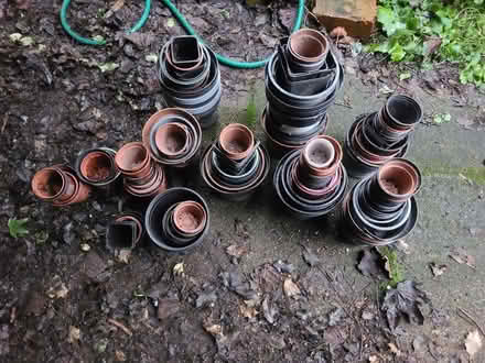 Photo of free Plastic Plant Pots (Prestwich M25) #1