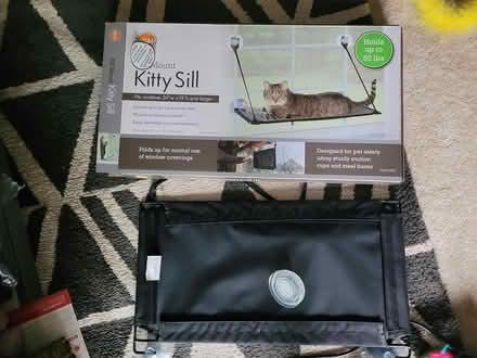 Photo of free kitty sill (near lowell general maincampus) #1