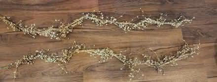 Photo of free Pip Berry Garlands (Ambler) #1