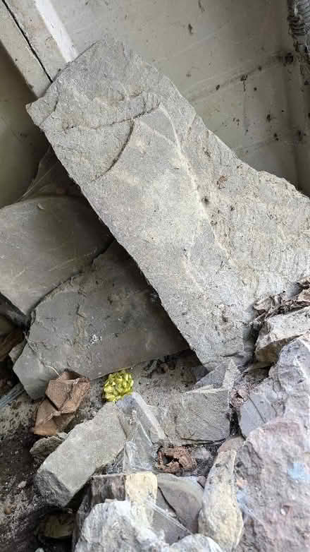 Photo of free Rough stone suitable for edging in garden or surrounding pon (Hall i' th' Wood BL2) #4