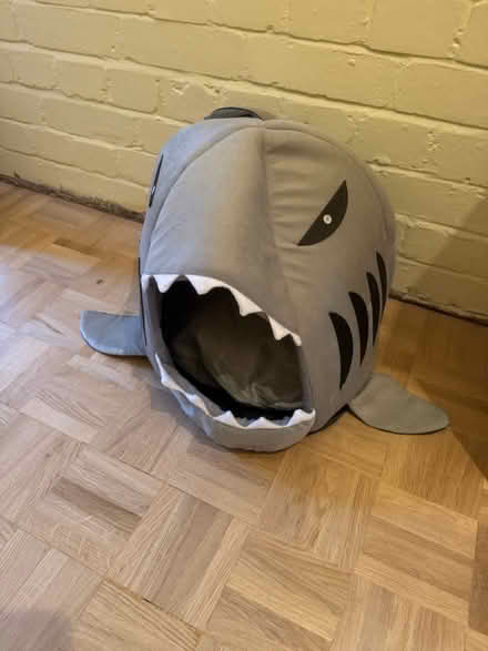 Photo of free Cat bed (Wallingford) #1