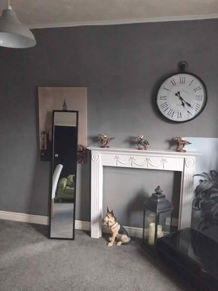 Photo of free Mirror (Lowedges S8) #1