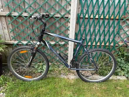 Photo of free 6 x bikes (Boughton Monchelsea) #1
