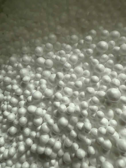 Photo of free Bean Bag Beans (CT2) #1