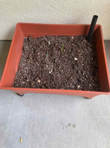 Photo of free City Pickers Patio Garden Kit (Eastlake) #1