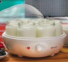 Photo of free Yogurt maker (Spring Hill, Somerville) #1