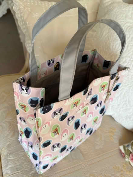 Photo of free Cute Small bag (Horsley Woodhouse CP DE7) #1