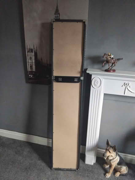 Photo of free Mirror (Lowedges S8) #2