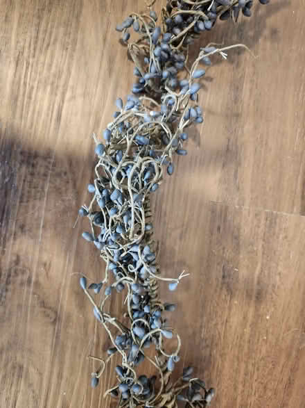 Photo of free Pip Berry Garlands (Ambler) #4