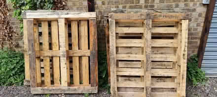 Photo of free Pallets (SG16) #1