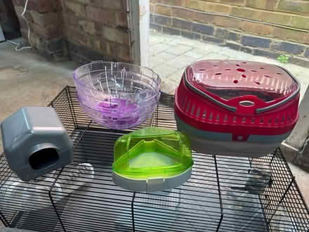 Photo of free Hamster kit (Mountsorrel) #1