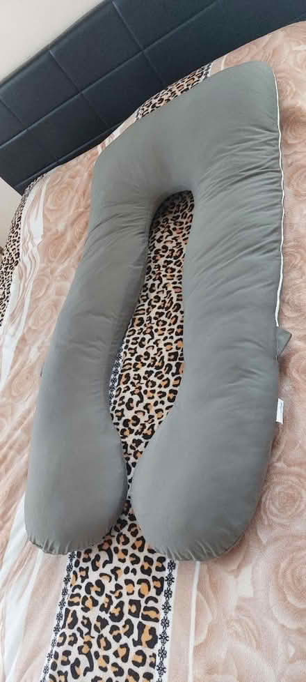 Photo of free Pregnancy pillow (SE1 8QT) #1