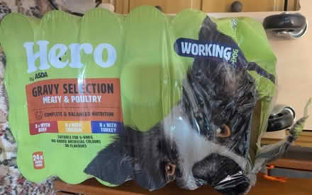 Photo of free Tinned dog food (LS11) #1
