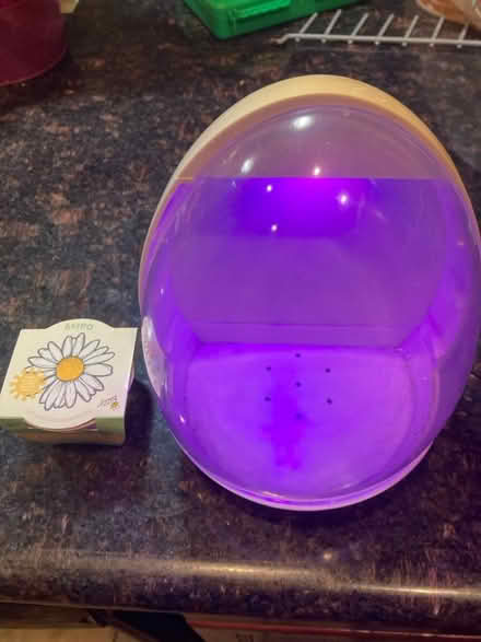 Photo of free USB powered terrarium (Eastlake) #1