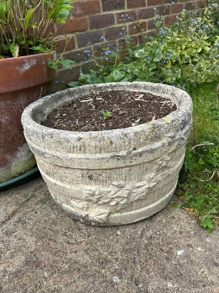 Photo of free Concrete pot (Epsom KT19) #1