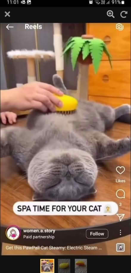 Photo of free Cat toy for lazy humans (+ bonus) (Staple Hill BS16) #2