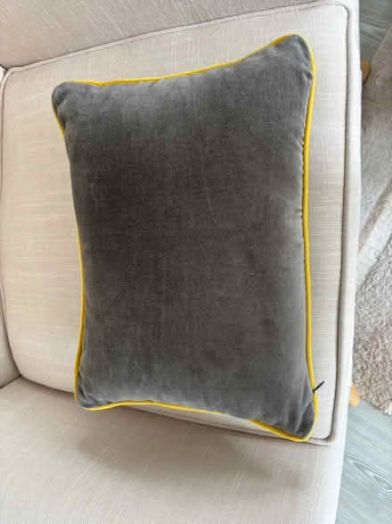 Photo of free Cushion for bee lovers (Horsham RH12 1) #4