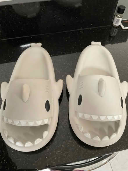 Photo of free Adult Shark Novelty Sliders (Waverton CH3) #1