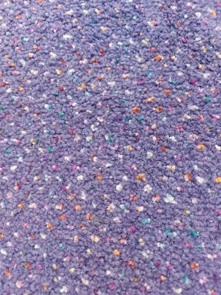 Photo of free Carpet good condition (Poulton le Fylde FY6) #1
