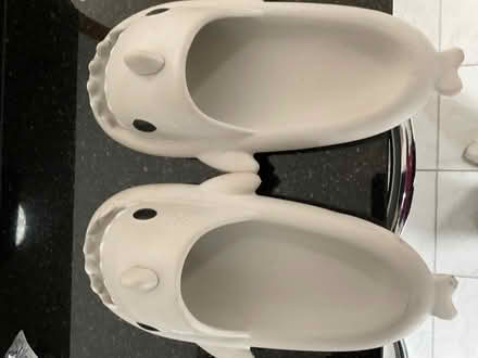 Photo of free Adult Shark Novelty Sliders (Waverton CH3) #2