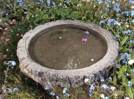 Photo of Bird Bath Top (BN1) #1