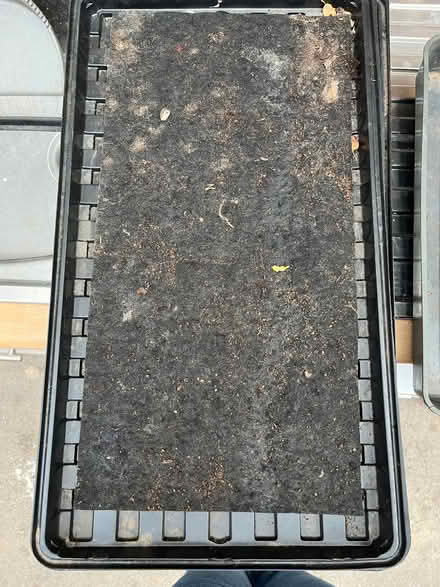 Photo of free Greenhouse trays and vegetable seeds (Cubbington CV32) #2