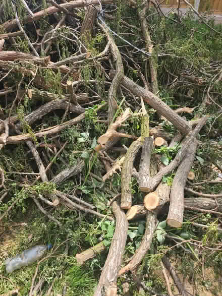 Photo of free Fireplace Woods (Manchester Hulme M15) #3