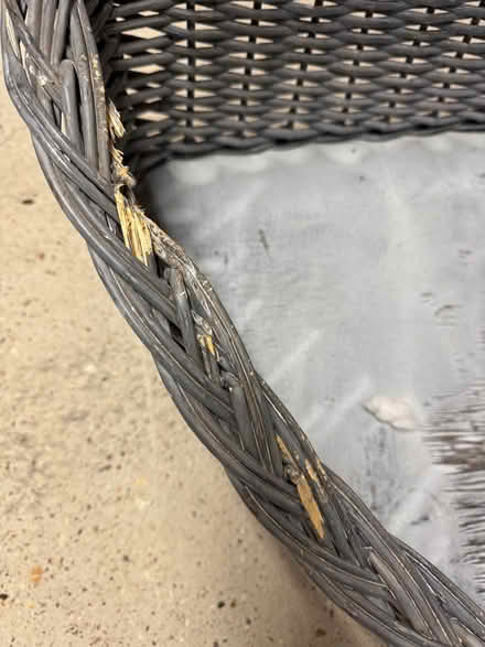 Photo of free Dog bed (Great kimble) #2