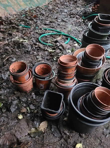 Photo of free Plastic Plant Pots (Prestwich M25) #4