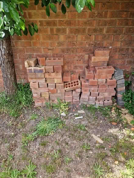 Photo of free Bricks (RG5) #1