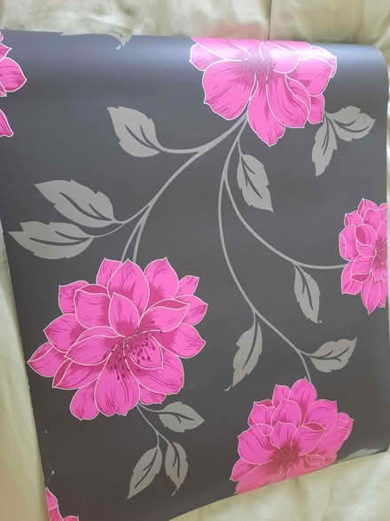 Photo of free Wallpaper (Butetown CF10) #1