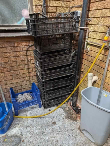 Photo of free Plastic crates (Sherwood PR2) #1