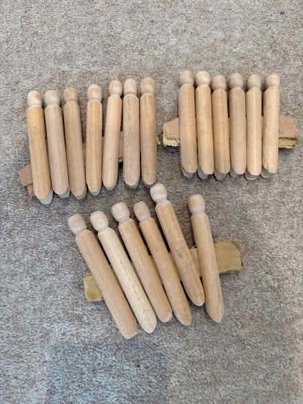 Photo of free 20 wooden pegs (Madley Park OX28) #1