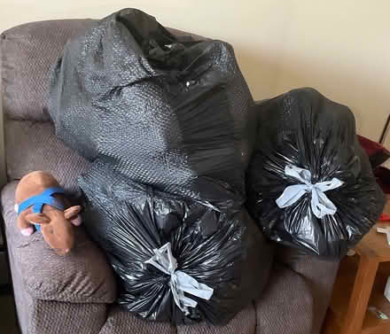 Photo of free Bags of bottles (East Ann Arbor) #1