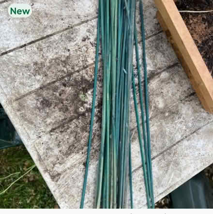 Photo of free Small garden canes (Panshanger AL7) #1