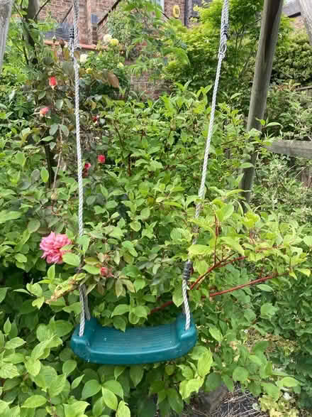 Photo of free Green swing seat (Clifton YO30) #1