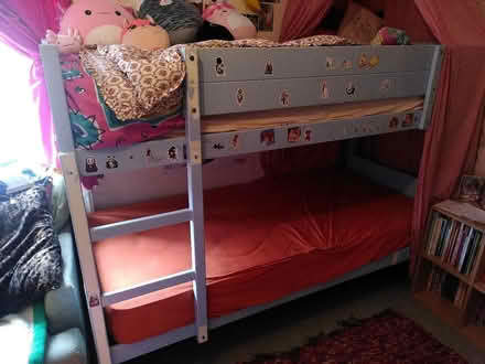 Photo of free Solid wood bunk beds (Belle Vue Shrewsbury SY3 7NF) #1