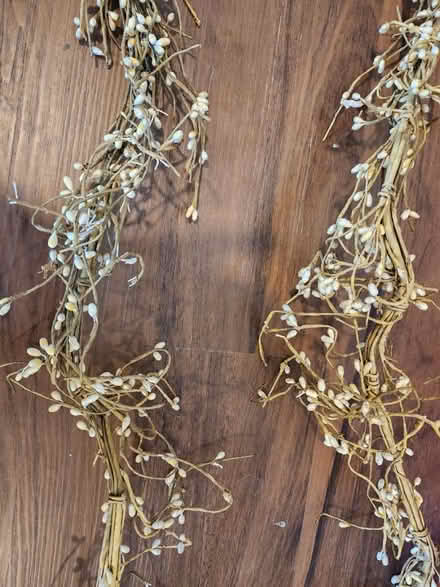 Photo of free Pip Berry Garlands (Ambler) #3