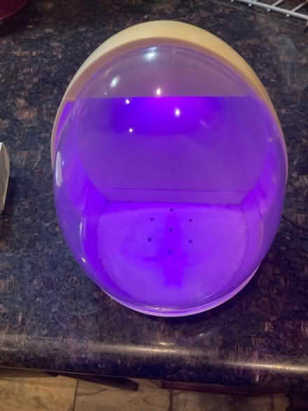 Photo of free USB powered terrarium (Eastlake) #3