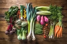 Photo of Vegetable plants (Woodhouse S13) #2