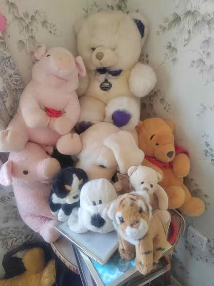 Photo of free Job lot cuddly toys (Whittlesey) #1