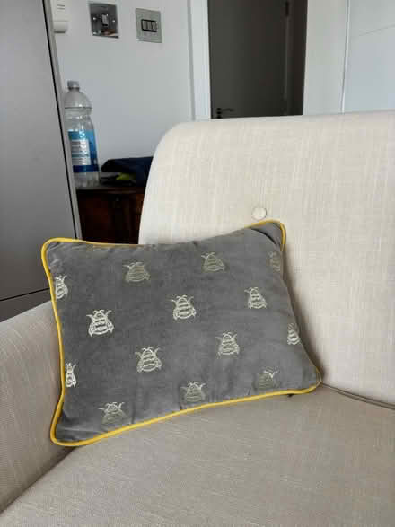 Photo of free Cushion for bee lovers (Horsham RH12 1) #3