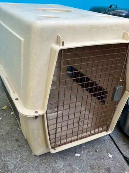 Photo of free Large dog crate (Redwood Heights) #1