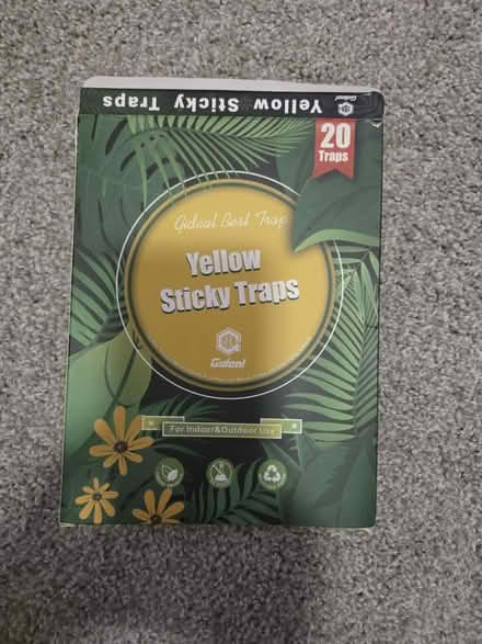 Photo of free Sticky traps for fungus gnats (Georgia Ave/Petworth) #1