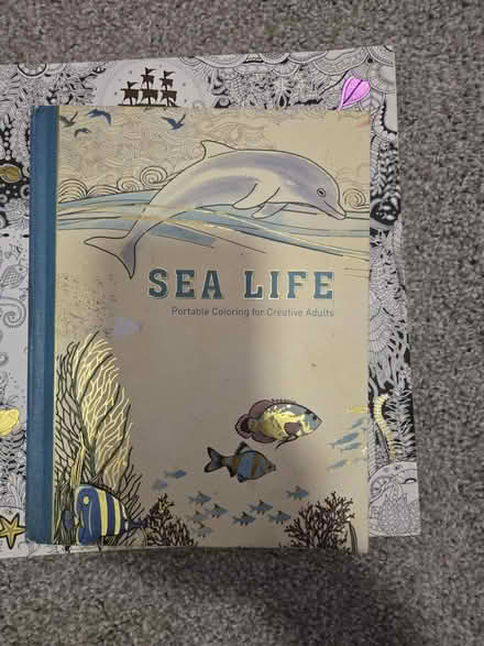 Photo of free Adult coloring books - ocean (Georgia Ave/Petworth) #2