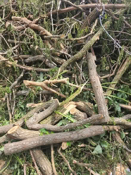 Photo of free Fireplace Woods (Manchester Hulme M15) #1