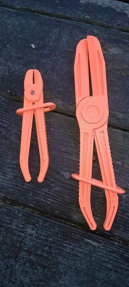 Photo of free Hose clamps (South beacon hill) #1