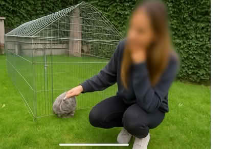 Photo of free Rabbit Run (Sandyford) #1