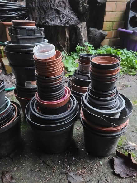 Photo of free Plastic Plant Pots (Prestwich M25) #2